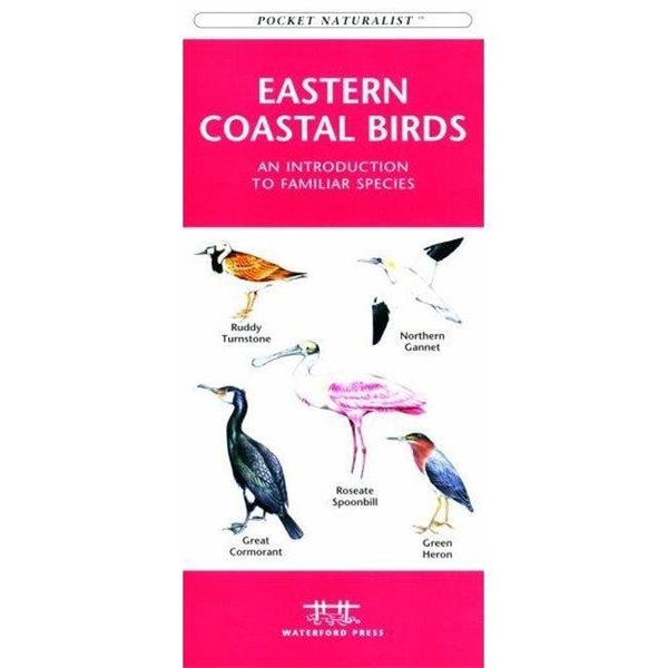 Waterford Press Waterford Press WFP1583551097 Eastern Coastal Birds Book: An Introduction to Familiar Species (Regional Nature Guides) WFP1583551097